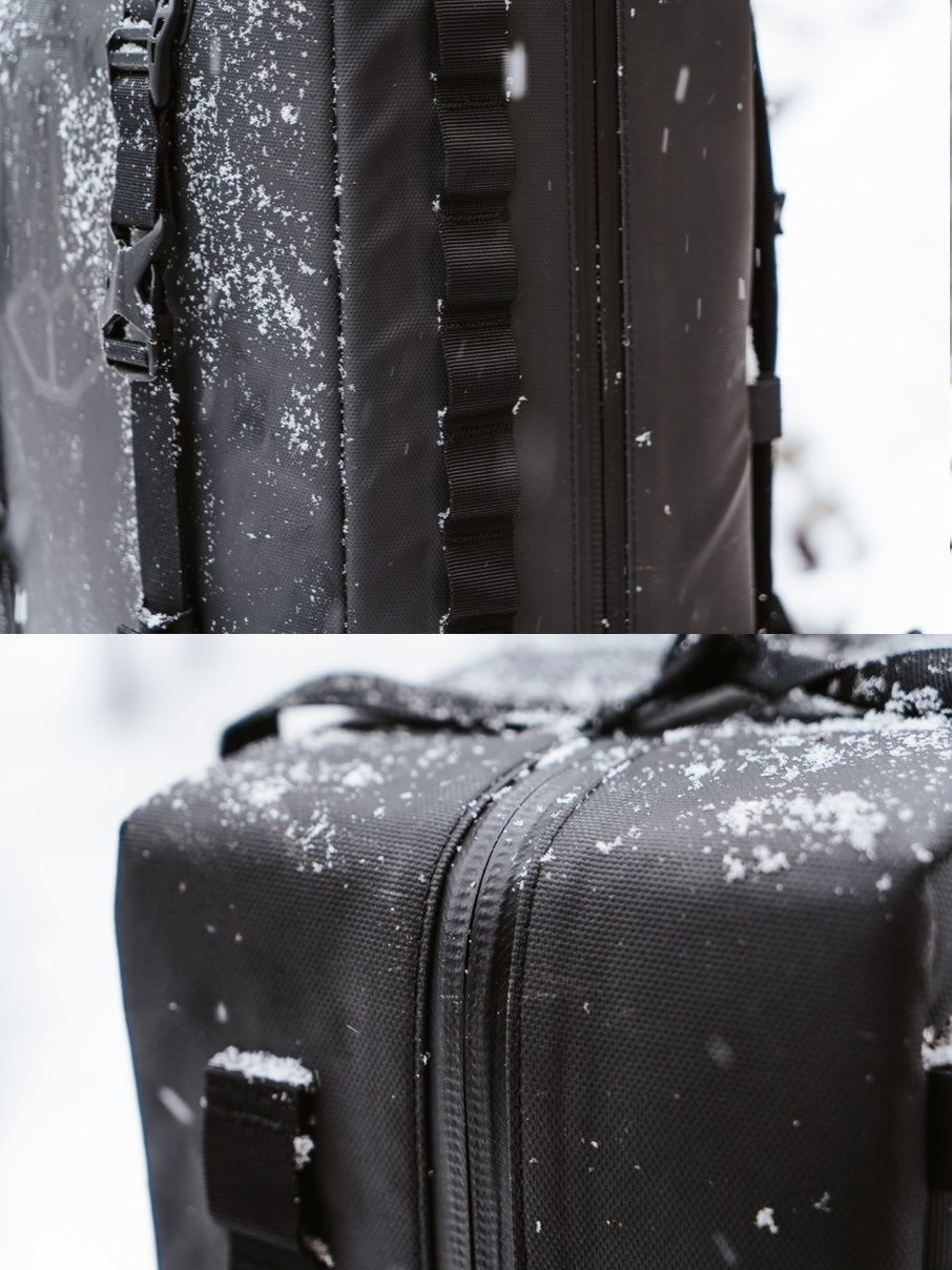 Companion (backpack)