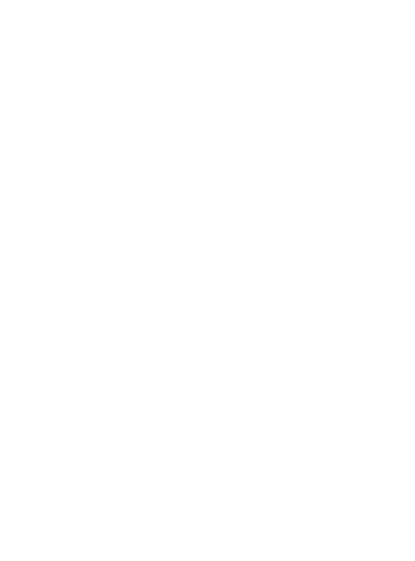 Fury, x-ray from a scan of the pack