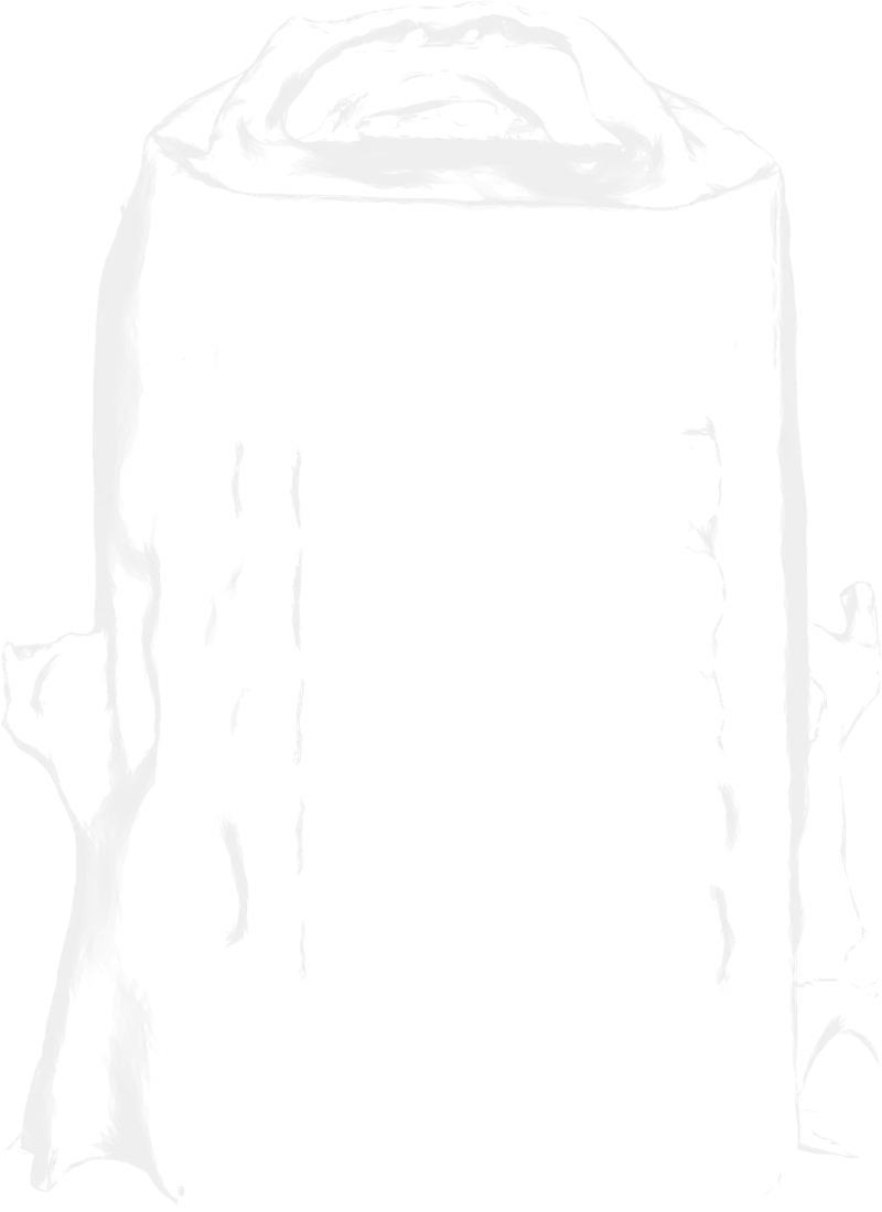 Hydra, x-ray from a scan of the pack