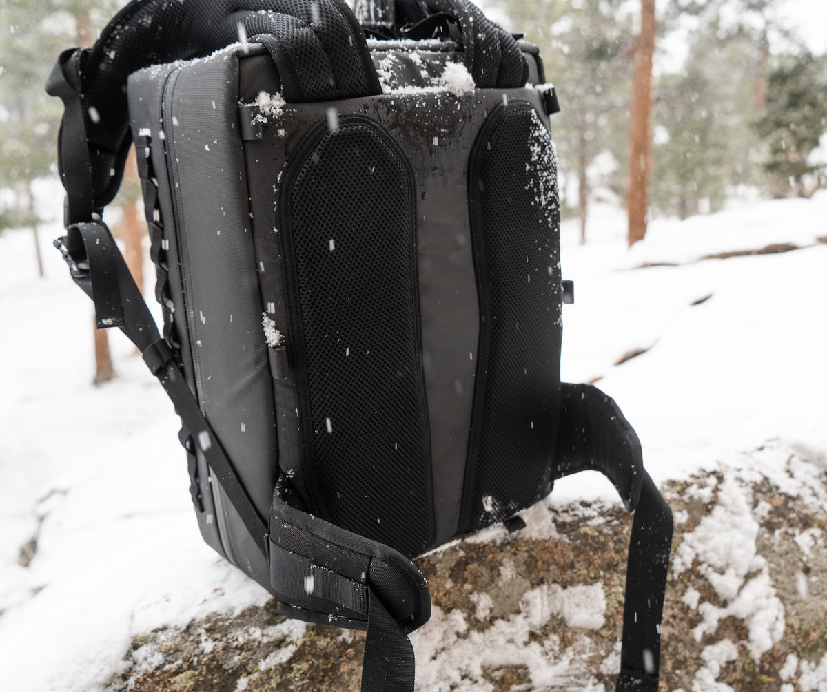 Companion (backpack)