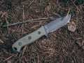 Raptor V2 - Image 3