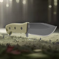 Raptor V2 - Image 7