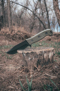 Raptor V2 - Image 8