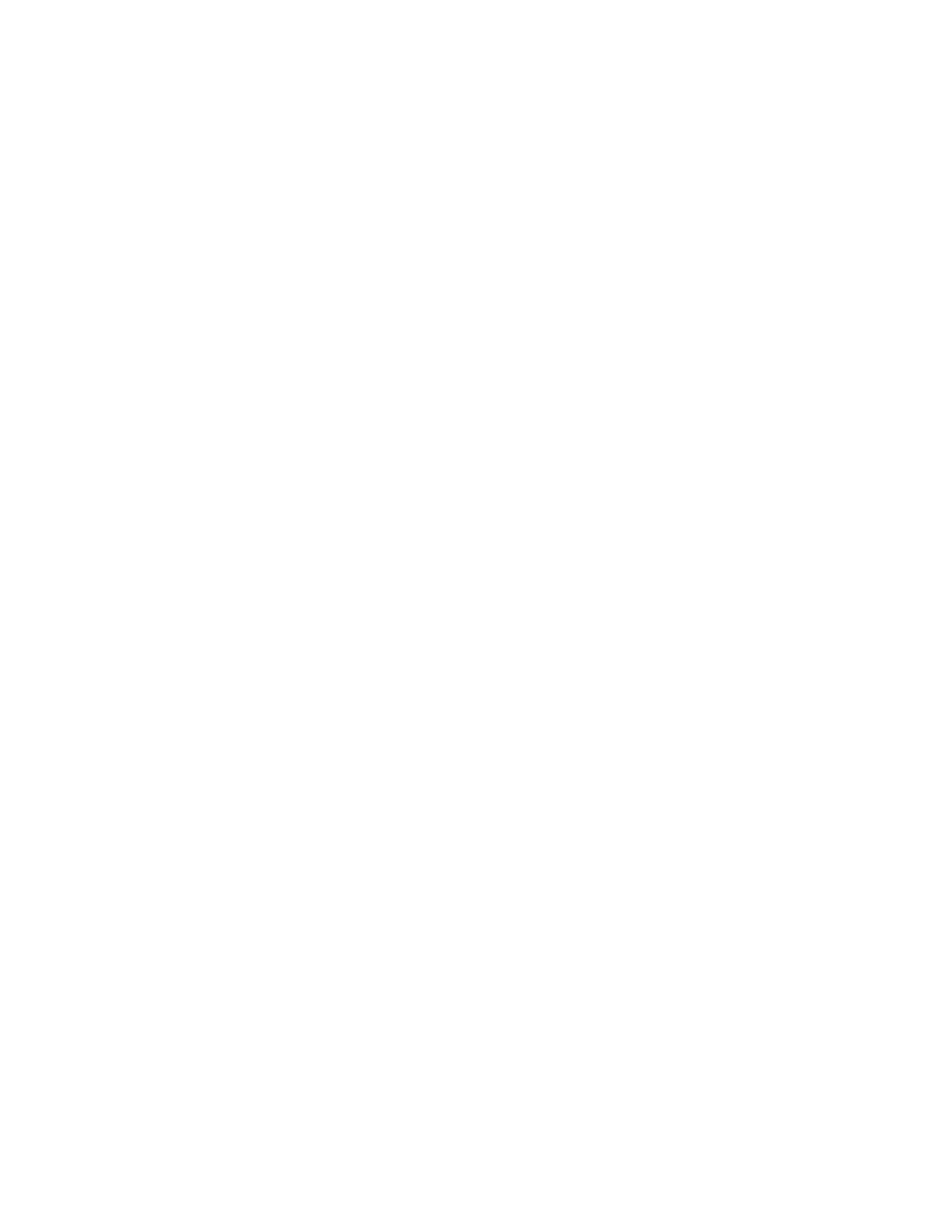 Sentry, x-ray from a scan of the pack
